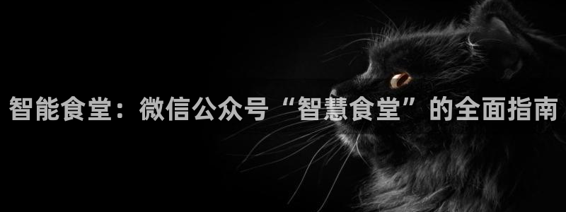 尊龙品牌怎么样