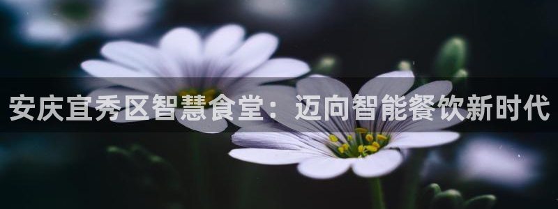 旧版尊龙人生就是博下载