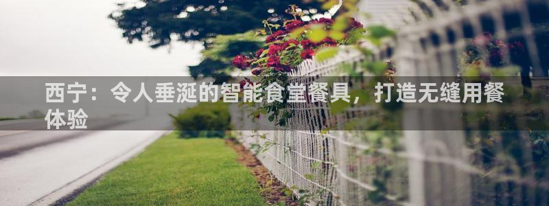 尊龙—人生就是博