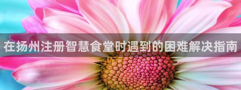 d88尊龙凯时：在扬州注册智慧食堂时遇到的困难解决指南