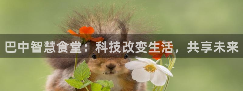 凯时国际app登录