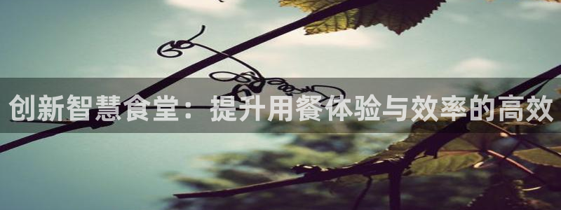 尊龙凯时网页版