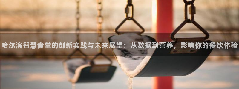 尊龙网址是选访问zd207