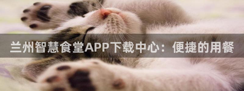 凯时平台app