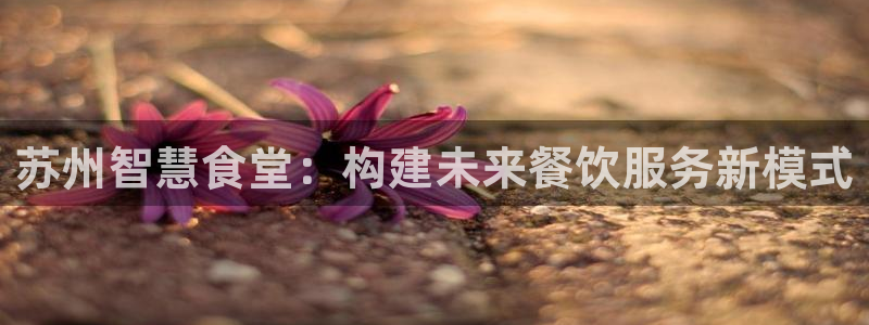 尊龙旗舰店