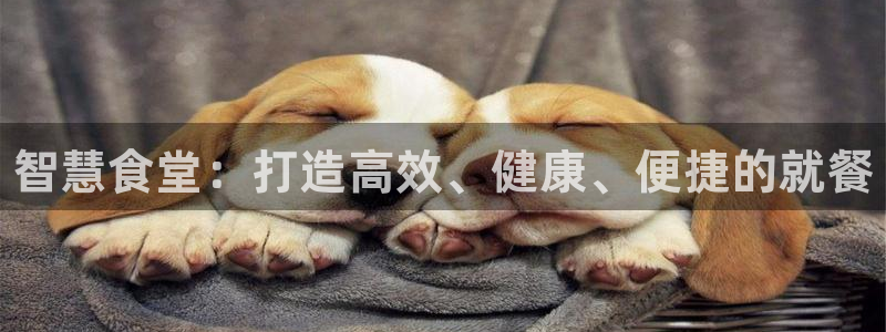 尊龙ag旗舰官网