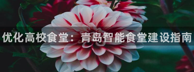 尊龙凯时输了100万