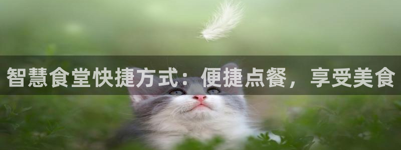 尊龙凯时人生就是搏技术实力