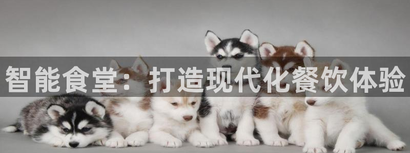 尊龙凯时产品种类：智能食堂：打造现代化餐饮体验