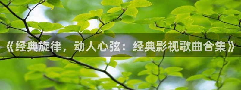 五月色婷婷影院在线：《经典旋律，动人心弦：经典影视歌曲合集》