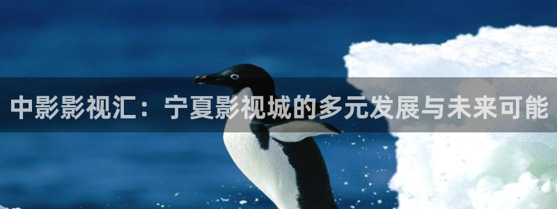 色婷婷亚洲精品综合影院：中影影视汇：宁夏影视城的多元发展与未来可能