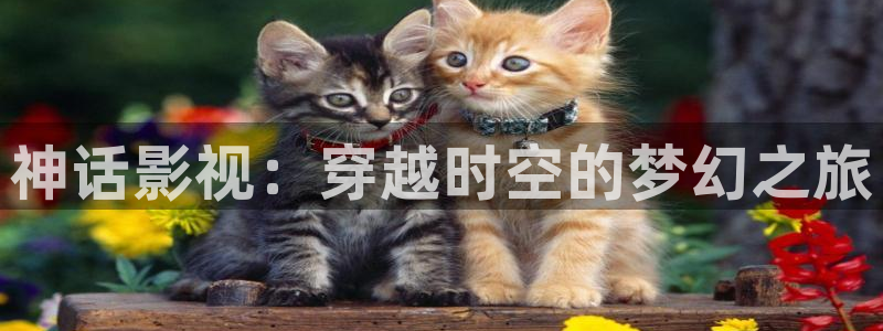 色婷婷伦理影院